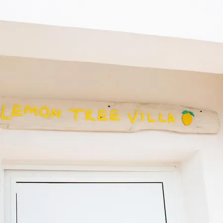Lemon Tree *